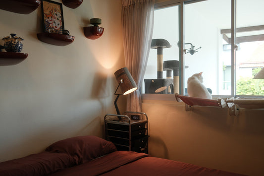 Objects at Home